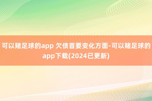 可以赌足球的app 　　欠债首要变化方面-可以赌足球的app下载(2024已更新)