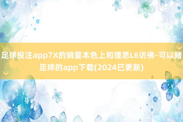 足球投注app7X的销量本色上和理思L6访佛-可以赌足球的app下载(2024已更新)