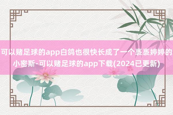 可以赌足球的app白鸽也很快长成了一个褭褭婷婷的小密斯-可以赌足球的app下载(2024已更新)