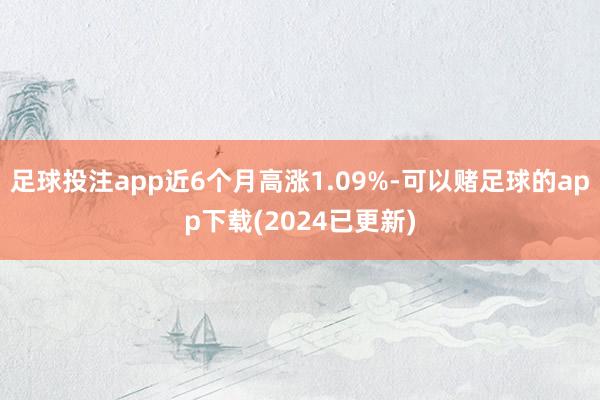 足球投注app近6个月高涨1.09%-可以赌足球的app下载(2024已更新)