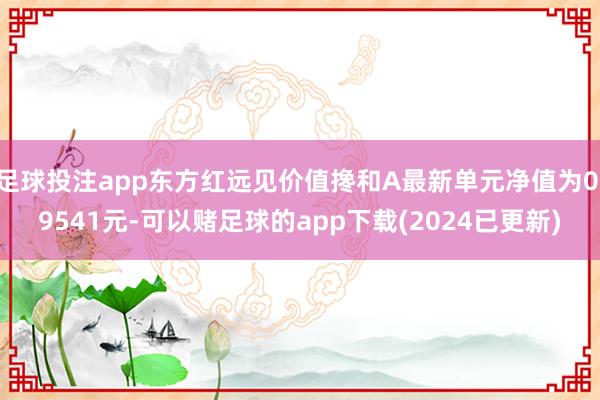 足球投注app东方红远见价值搀和A最新单元净值为0.9541元-可以赌足球的app下载(2024已更新)