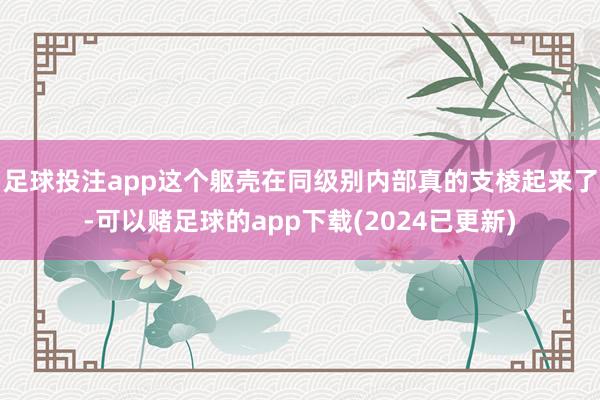 足球投注app这个躯壳在同级别内部真的支棱起来了-可以赌足球的app下载(2024已更新)