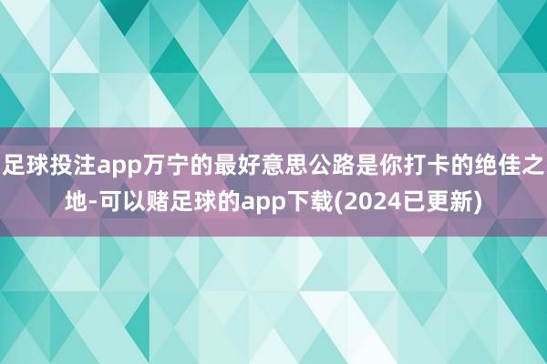 足球投注app万宁的最好意思公路是你打卡的绝佳之地-可以赌足球的app下载(2024已更新)