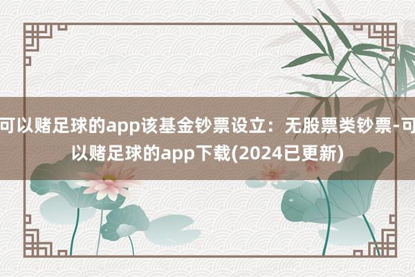 可以赌足球的app该基金钞票设立：无股票类钞票-可以赌足球的app下载(2024已更新)