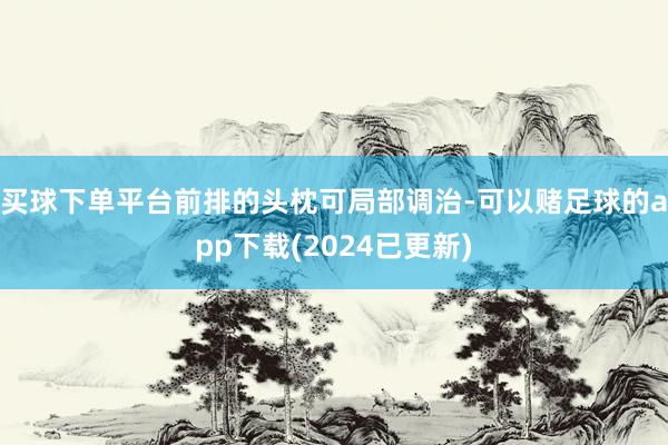 买球下单平台前排的头枕可局部调治-可以赌足球的app下载(2024已更新)