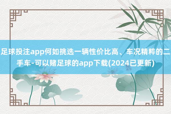 足球投注app何如挑选一辆性价比高、车况精粹的二手车-可以赌足球的app下载(2024已更新)